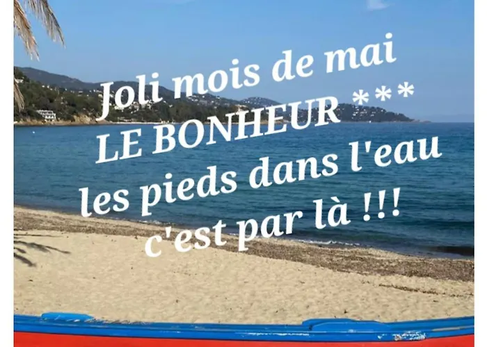 Tout A Pied ! 150M Plage Du Lavandou T3 Piscine