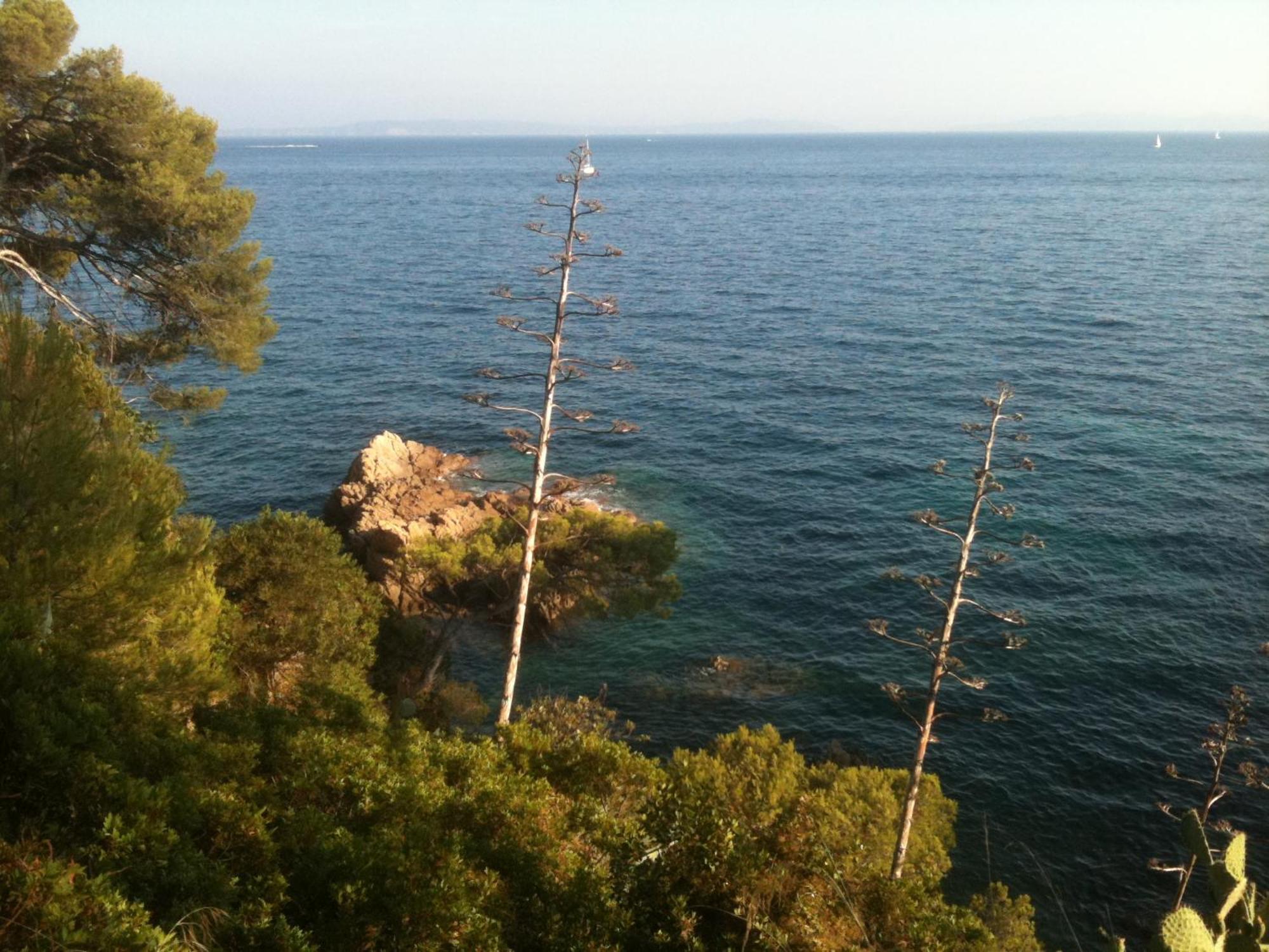 Splendide 6 P à 150 M Plage, à Pied