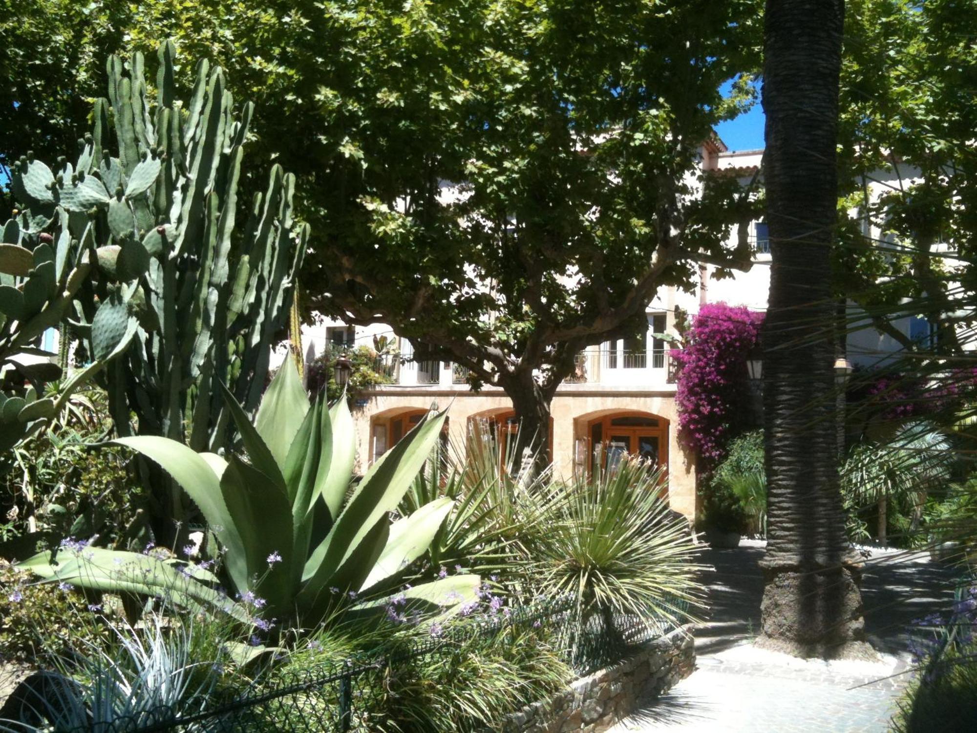 Appartement A Pied ! 150m Du Lavandou T3 Piscine Le Lavandou
