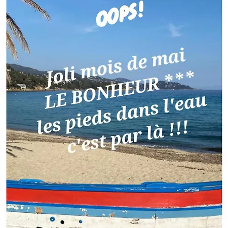 splendide appart 6 p à 150 m plage, tout à pied Le Lavandou Extérieur photo