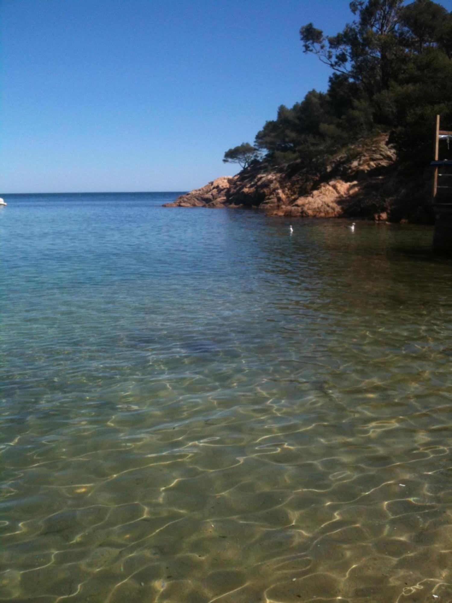 Splendide 6 P à 150 M Plage, à Pied Appartement Le Lavandou