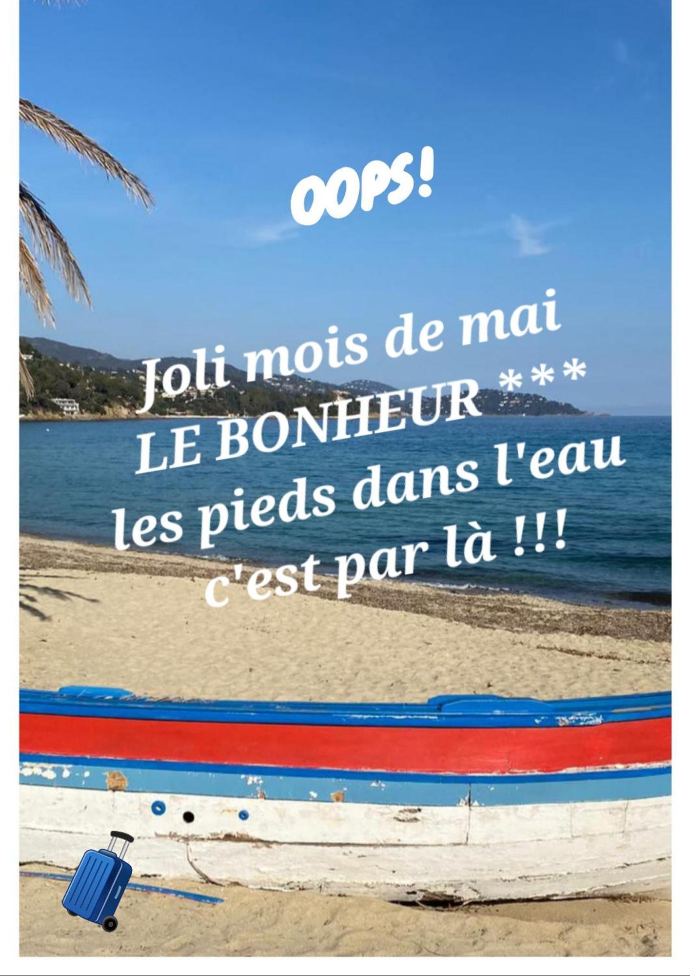 Appartement Splendide 6 P à 150 M Plage, à Pied *
